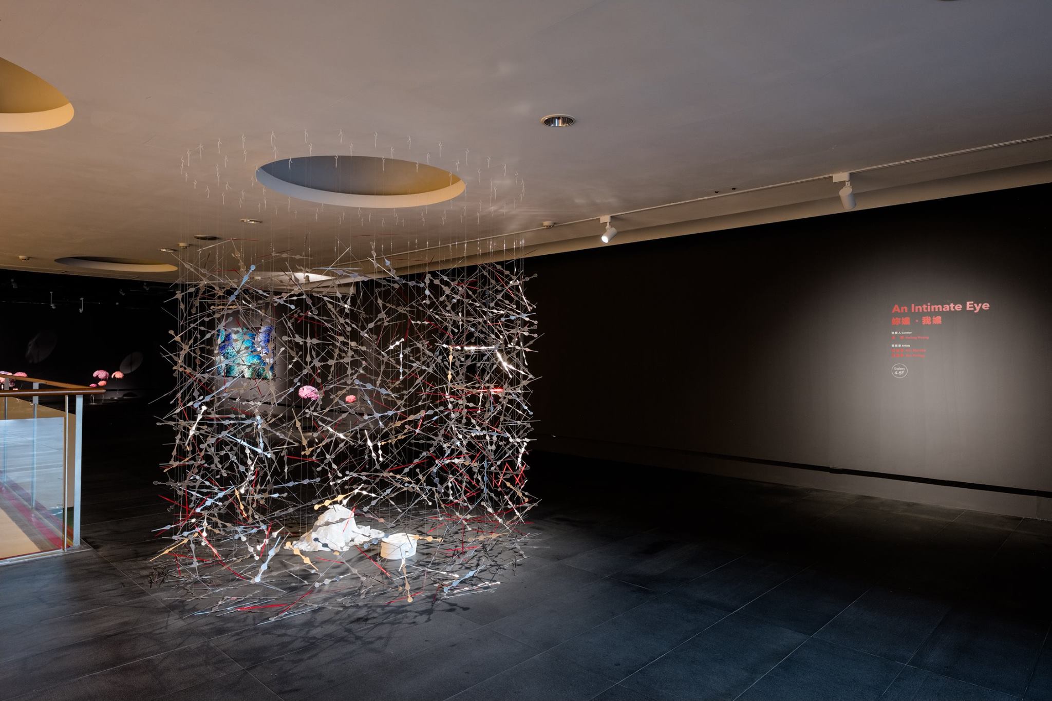 Exhibition: Tropical Cyclone